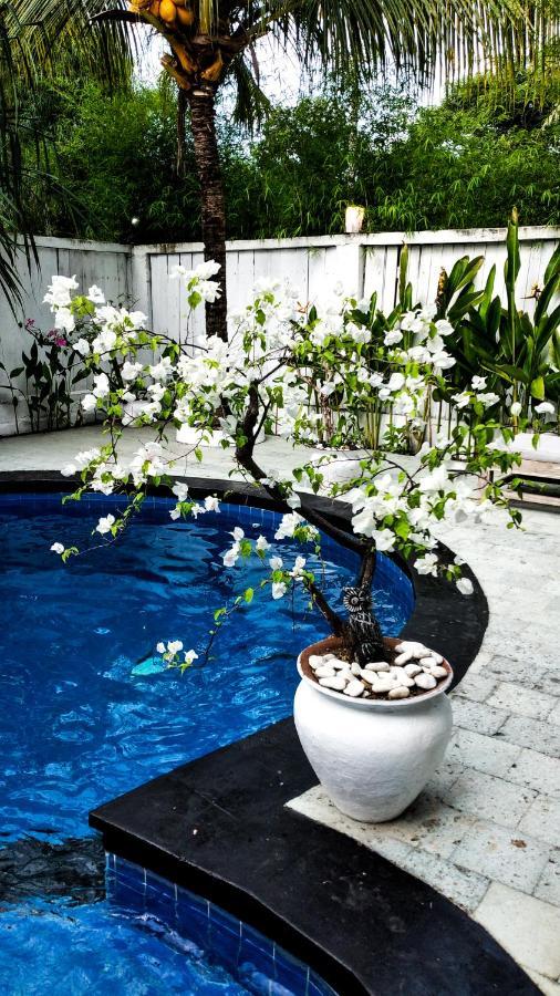 Gili Moonlight Retreat Villa กิลิไอร์ ภายนอก รูปภาพ